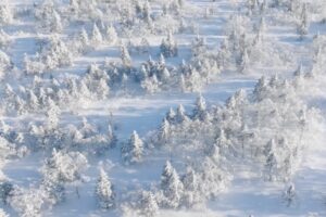 亚冬会战鼓擂，气凝胶纤维来助威！